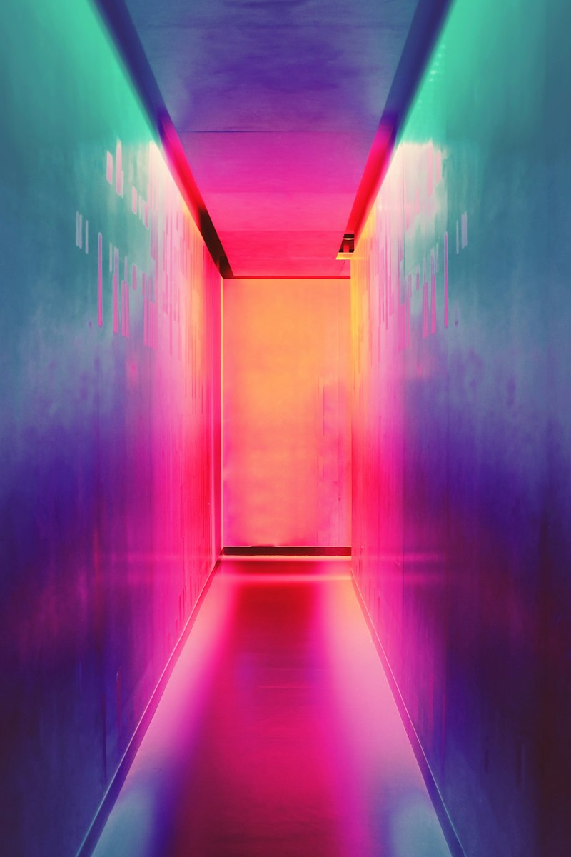 Neon installation in woods